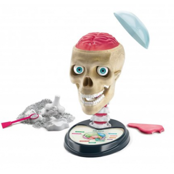 teaduskomplekt