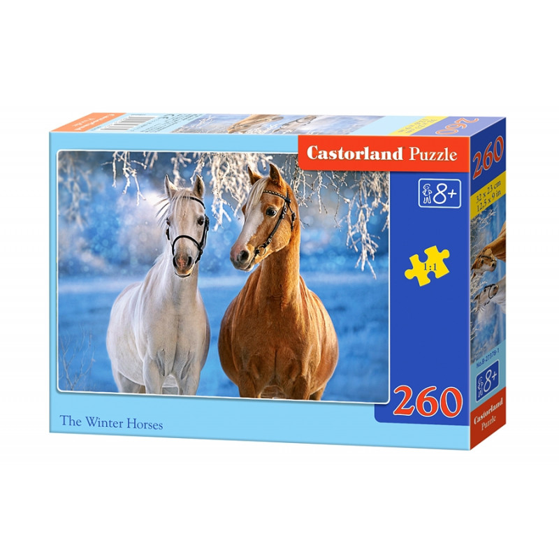 puzzle 260