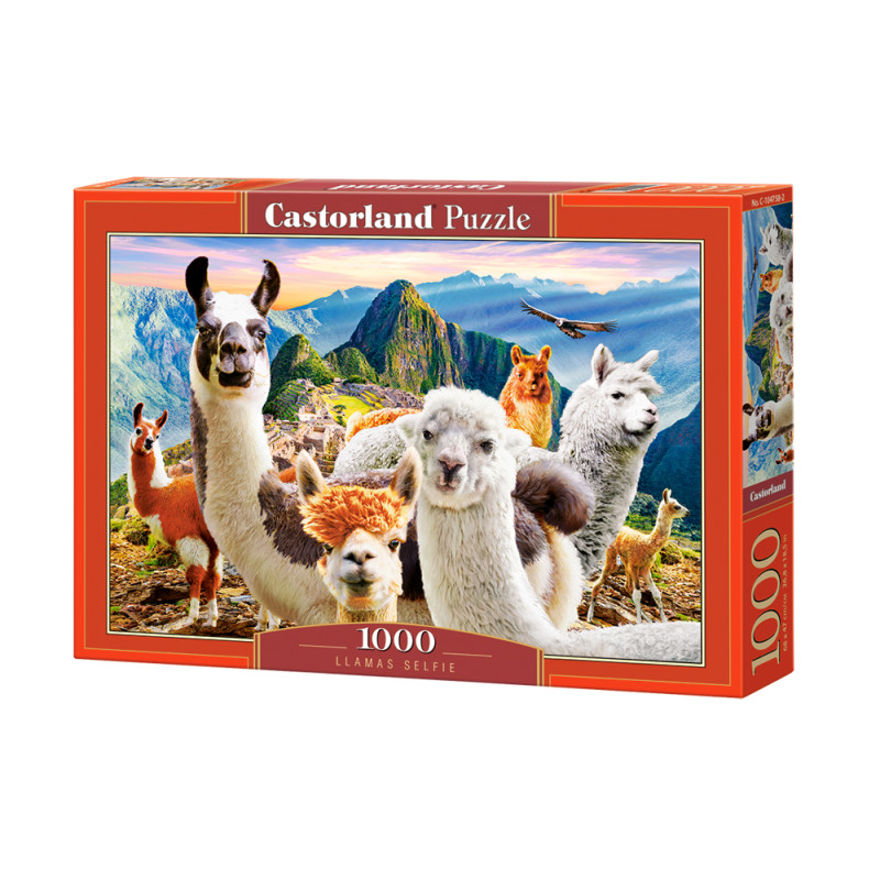 puzzle 1000
