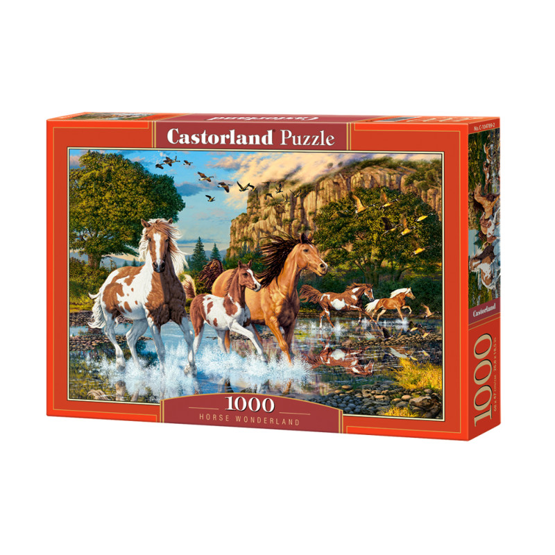 puzzle 1000
