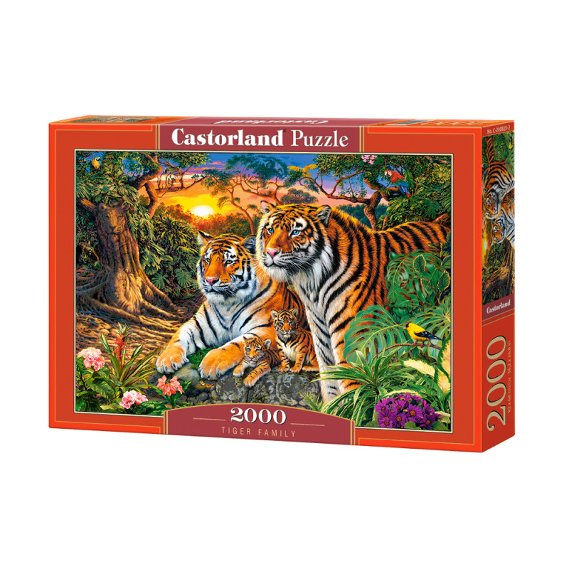 puzzle 2000