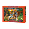 puzzle 2000