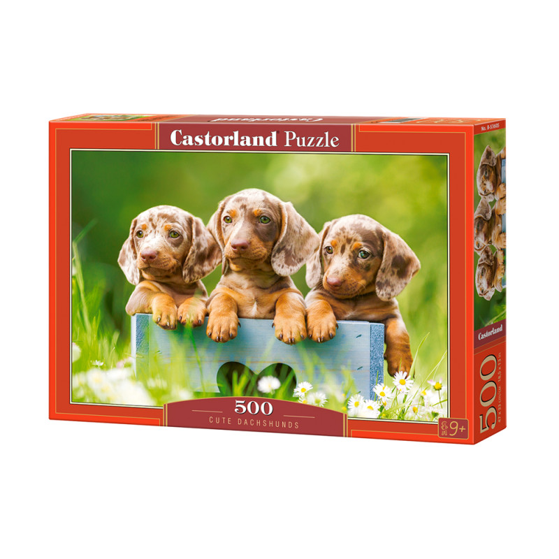 puzzle 500