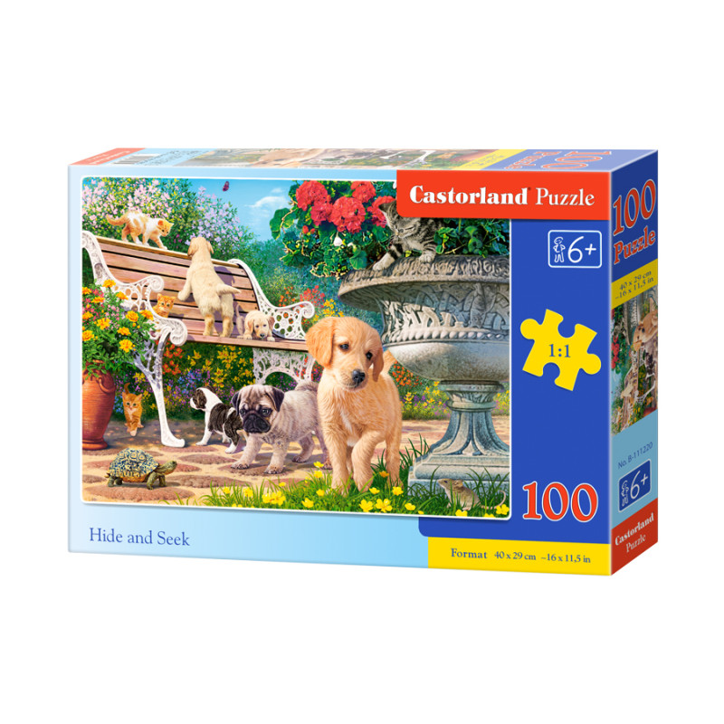 puzzle 100