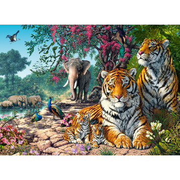 puzzle 300