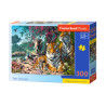 puzzle 300