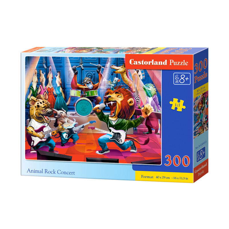 puzzle 300