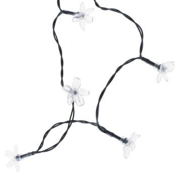 Aialambid