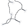 Aialambid