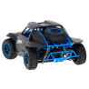 raadioauto