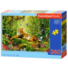 puzzle 260
