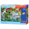 puzzle 260