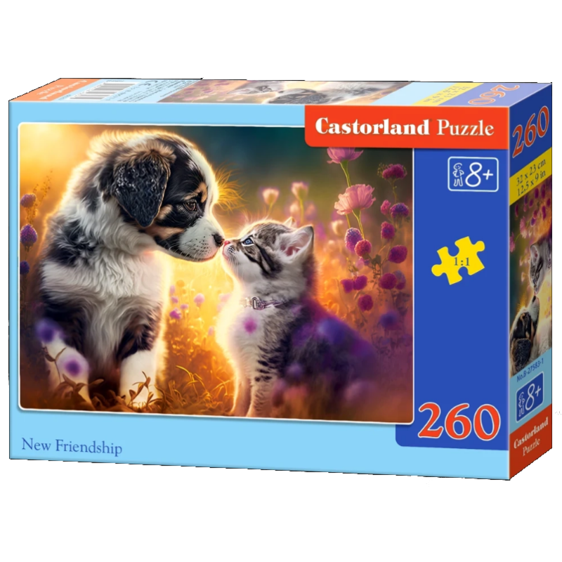 puzzle 260