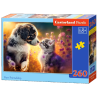 puzzle 260