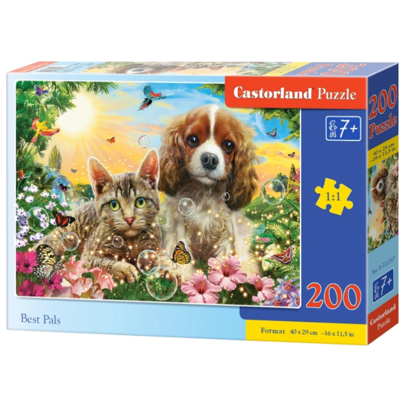 puzzle 200