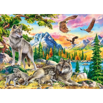 puzzle 300