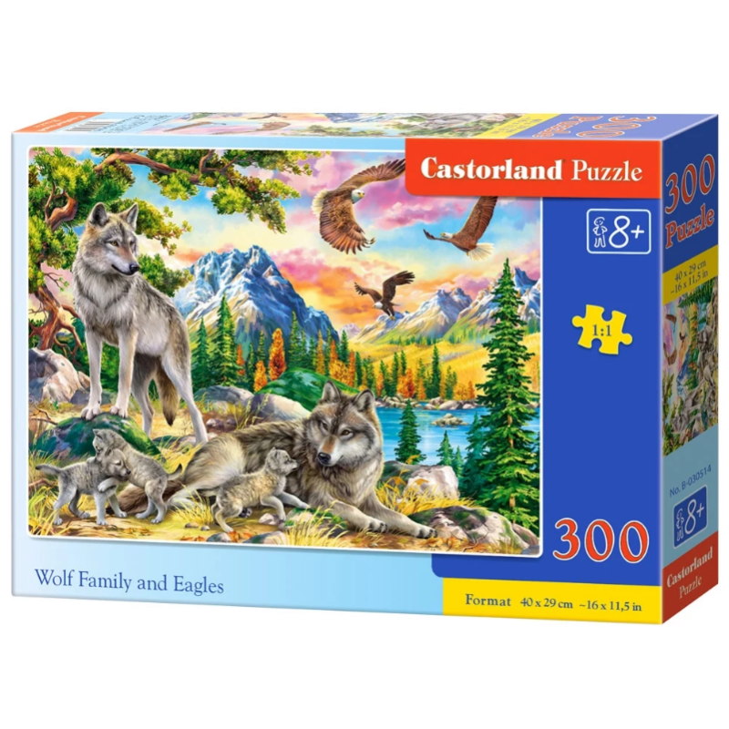 puzzle 300