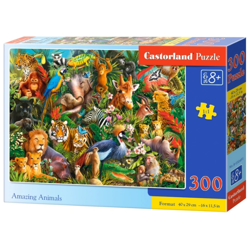 puzzle 300
