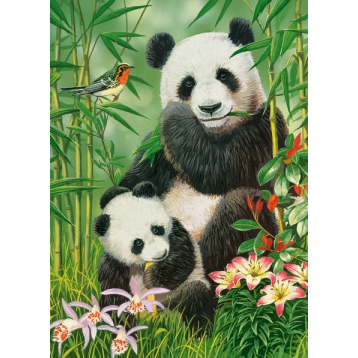 puzzle 300