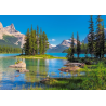 puzzle 500