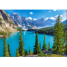 puzzle 500