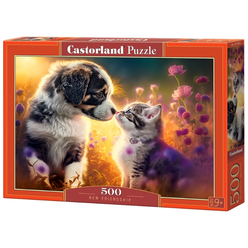 puzzle 500