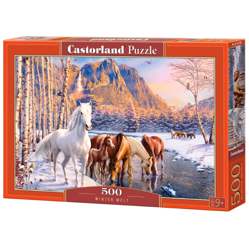 puzzle 500