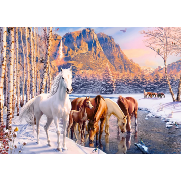 puzzle 500