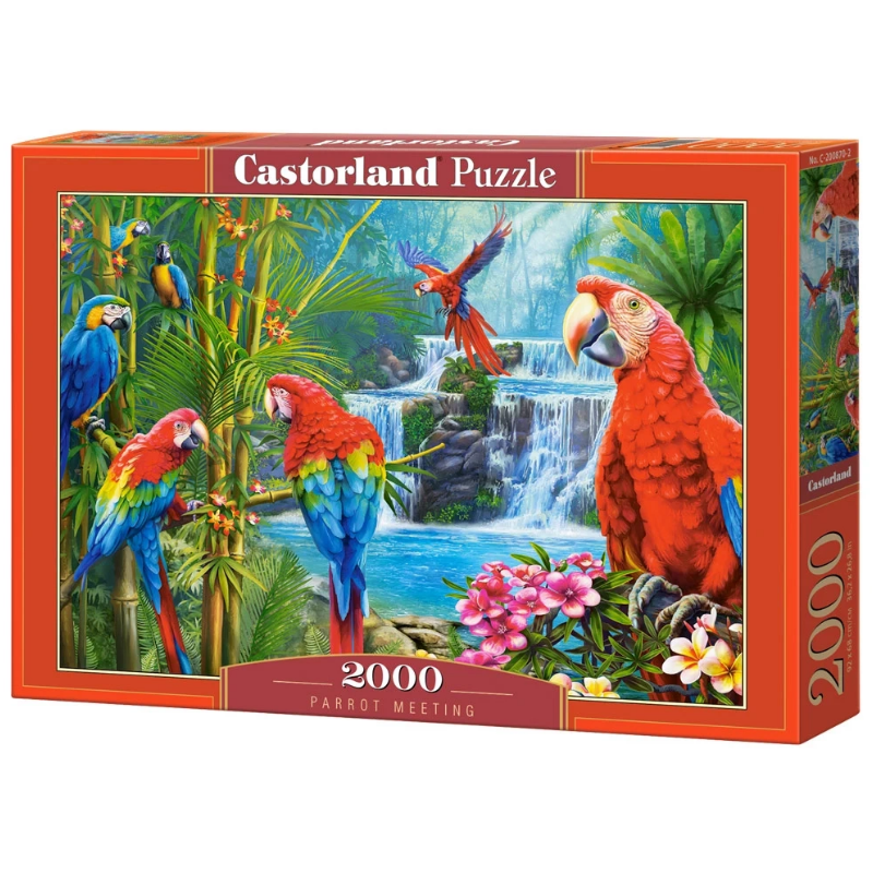 puzzle 2000