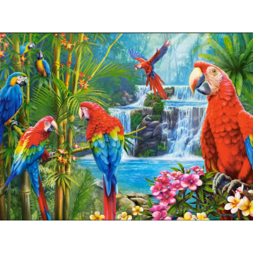 puzzle 2000