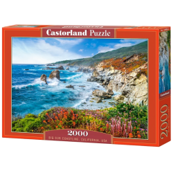 puzzle 2000