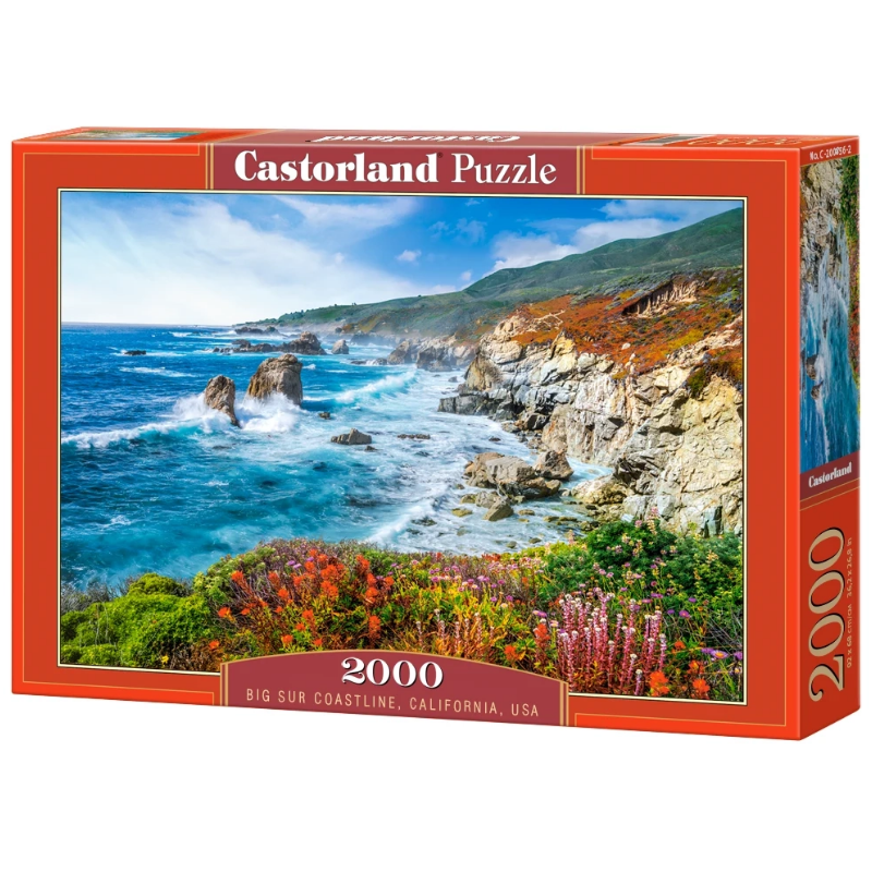 puzzle 2000