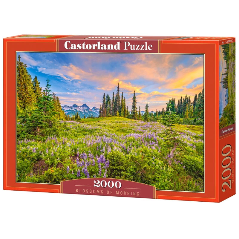 puzzle 2000