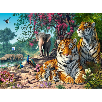 puzzle 3000