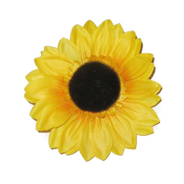 päevalill