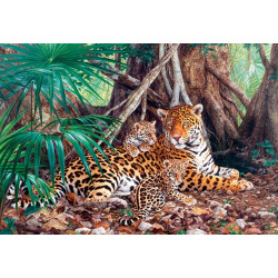 300280.Puzzle 3000 Jaaguarid dzunglis
